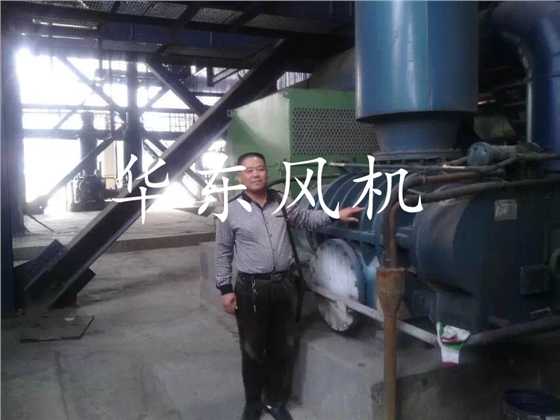  福建興業(yè)皮革集團有限公司使用現場