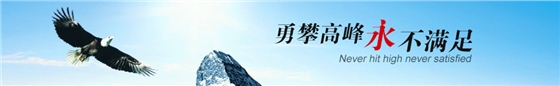 臺灣春鼎羅茨風(fēng)機