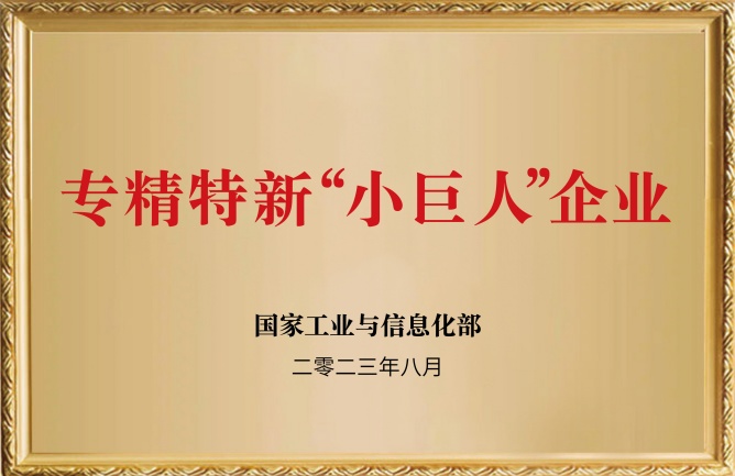 華東榮譽(yù)-專精特新小巨人企業(yè)